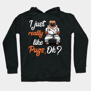 I Just Really Like Pug Dogs Funny Karate Ninja Martial Arts Hoodie